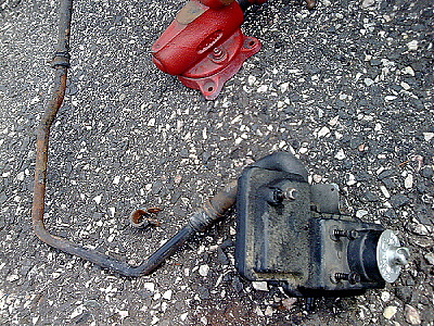 Obraz498.jpg