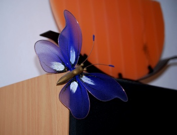 Snímek 002.jpg