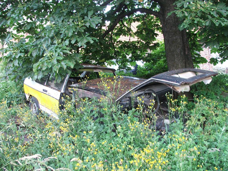 DSCF3717.JPG