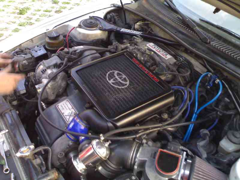 020520091669mala.jpg