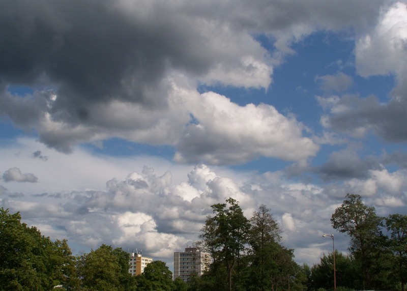 100_2849.jpg