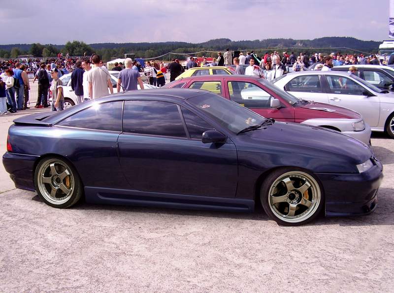 callixj2.jpg