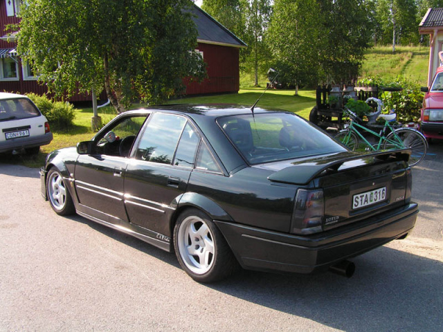 salu1.jpg