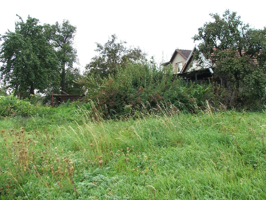 DSCF4539.JPG