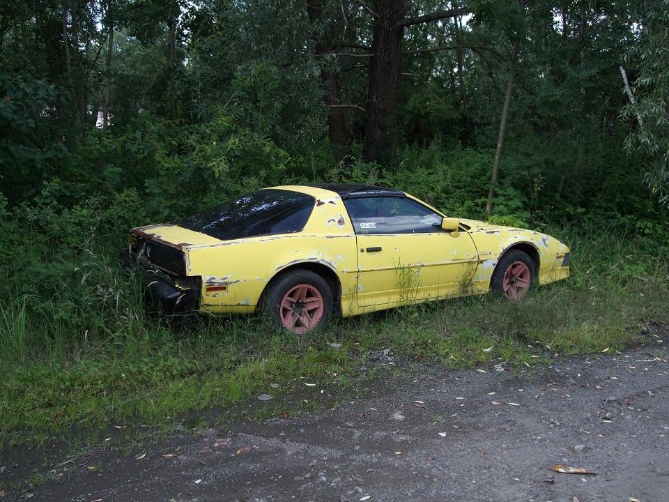 DSCF0396.jpg