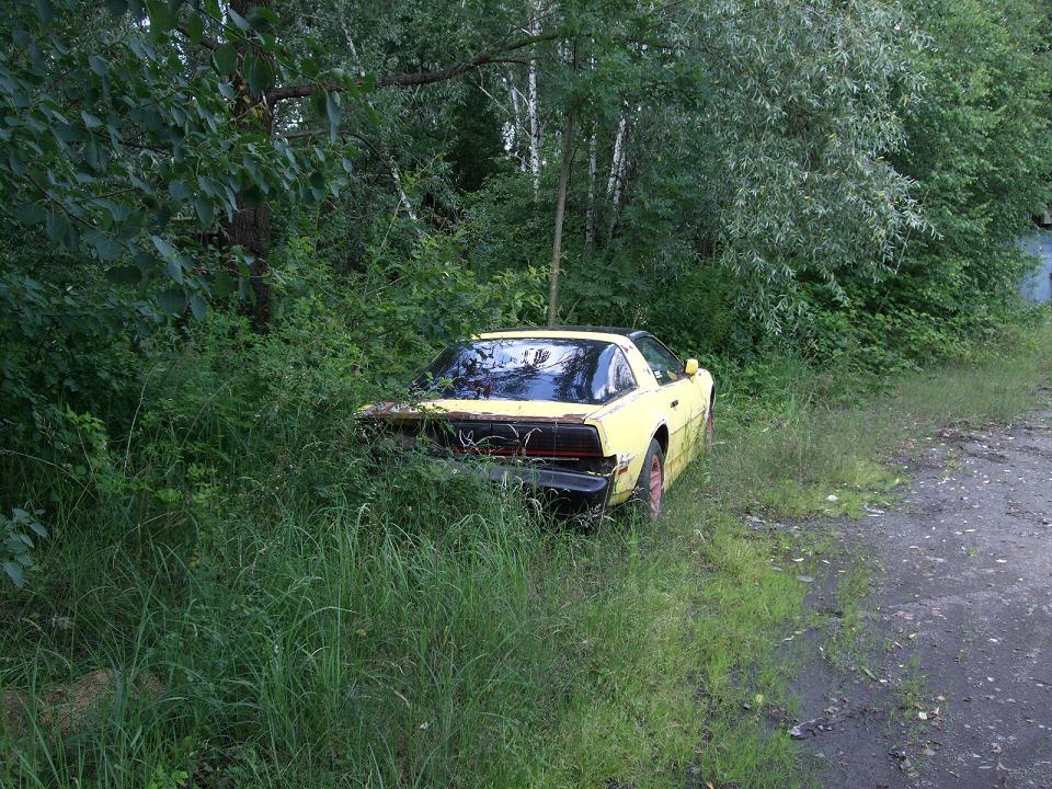 DSCF0395.jpg