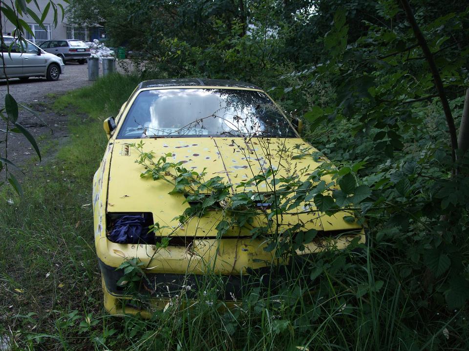 DSCF0399.jpg