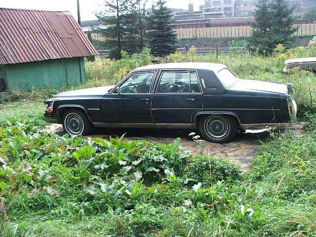 DSCF4835.JPG
