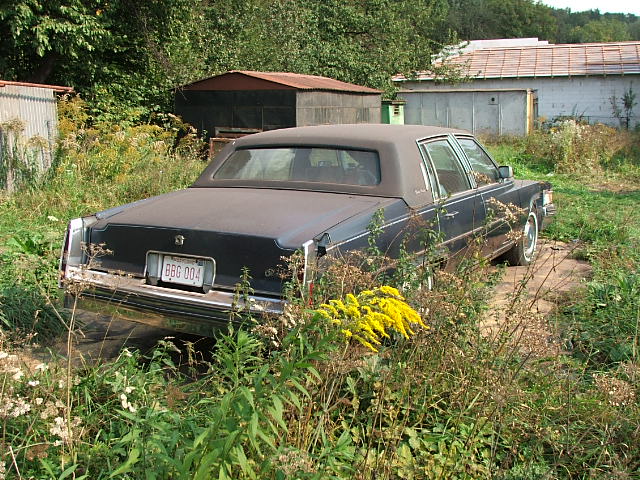 DSCF4841.JPG