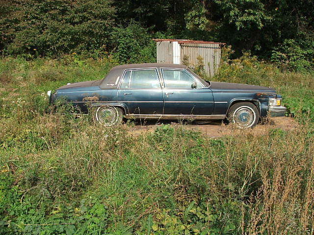 DSCF4843.JPG