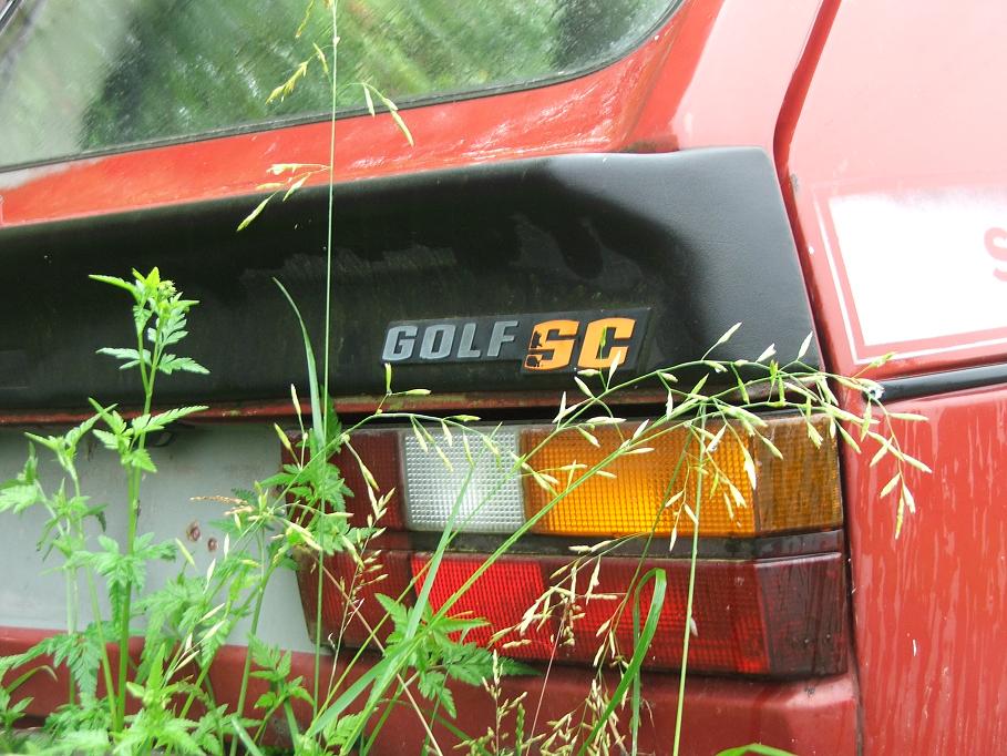DSCF3872.JPG