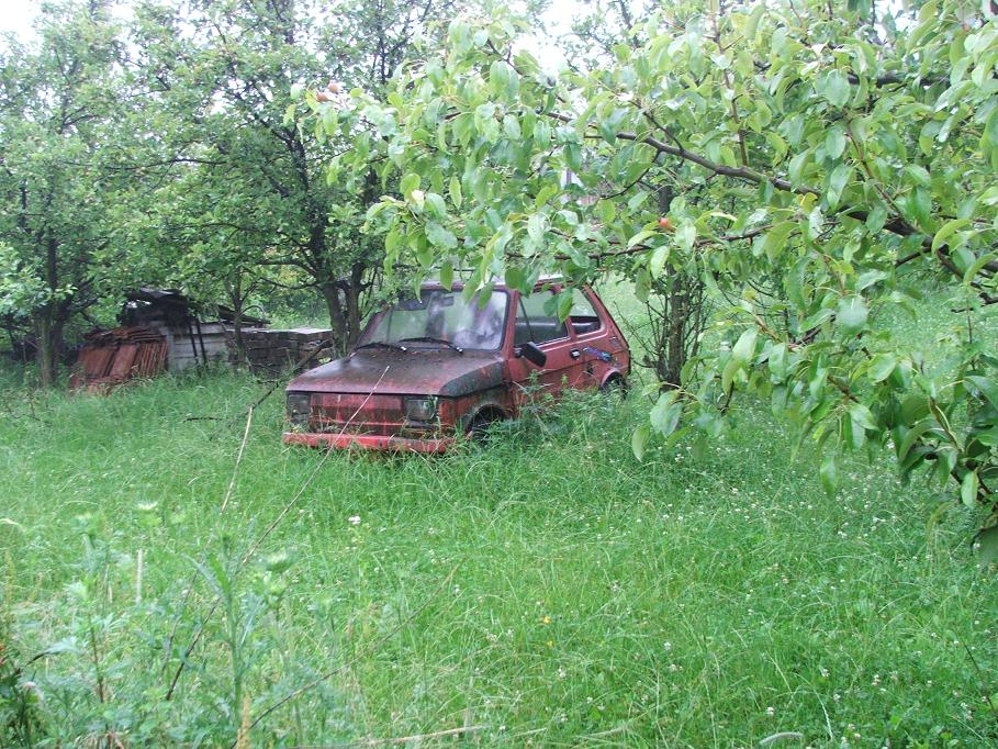 DSCF3910.JPG