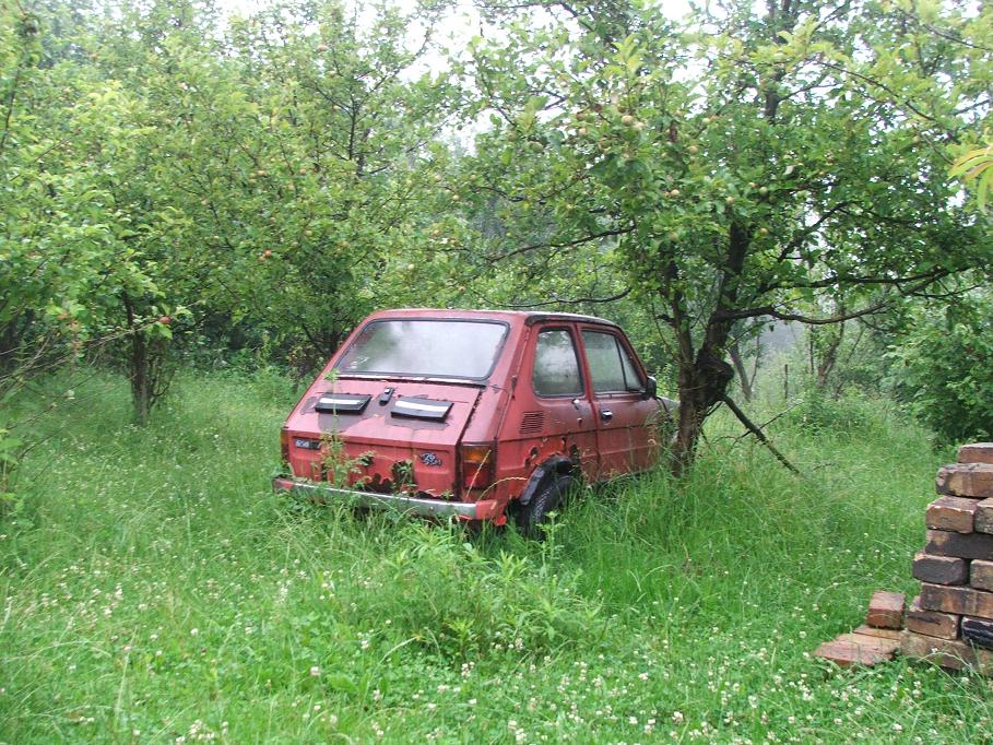 DSCF3912.JPG