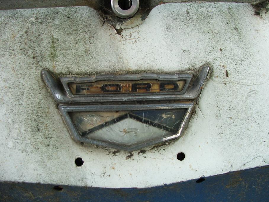 DSCF4979.JPG