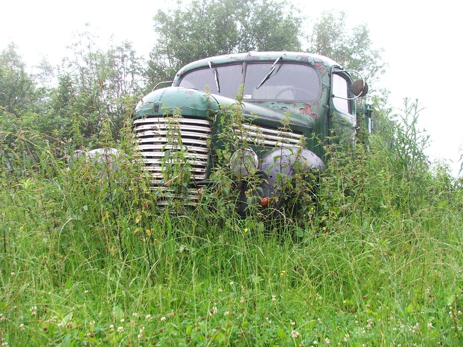 DSCF3884.JPG