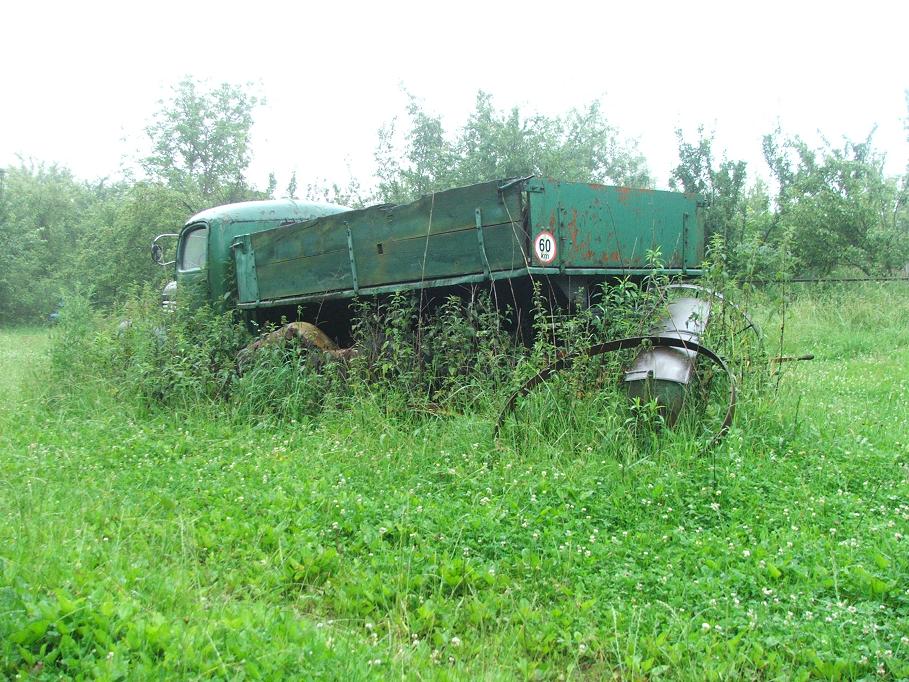 DSCF3890.JPG
