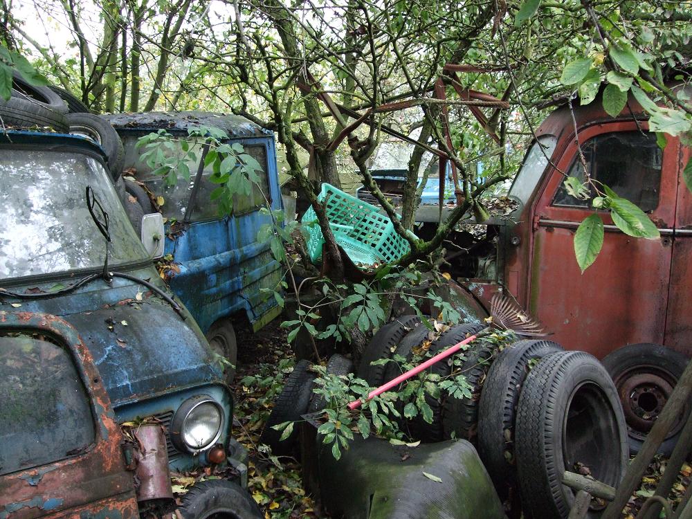 DSCF1561.jpg