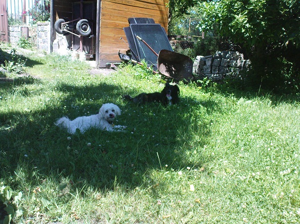 bylo hezky počasi, tak si hraly holky no :)