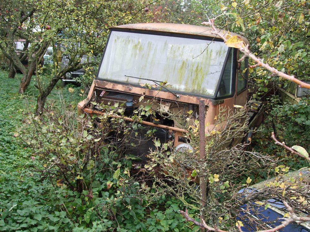 DSCF1493.jpg