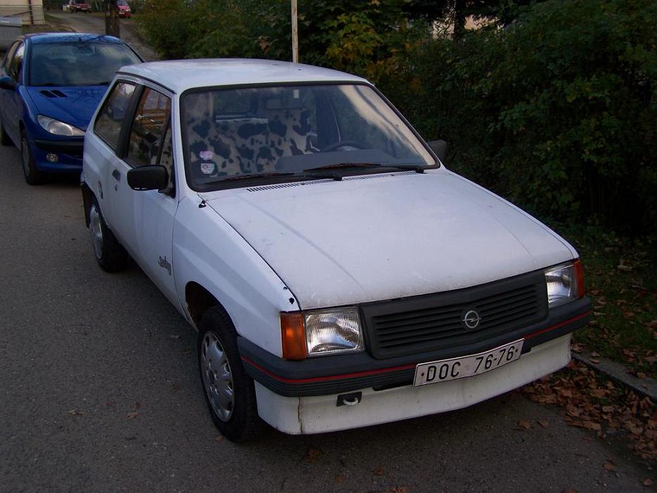 100_4042.JPG
