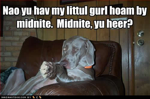 funny-dog-pictures-hoam-midnite.jpg