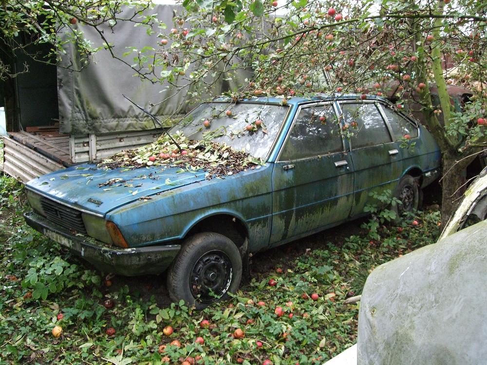 DSCF1520.jpg