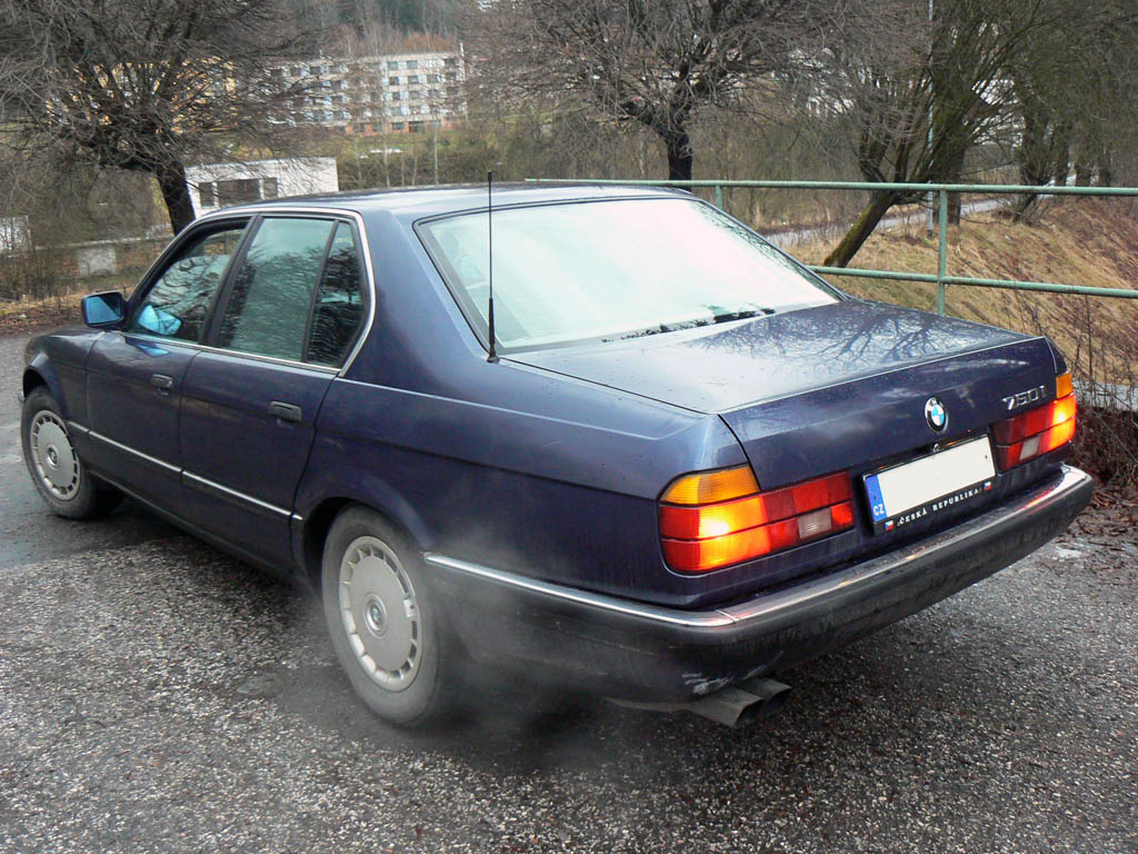 P10003881.jpg