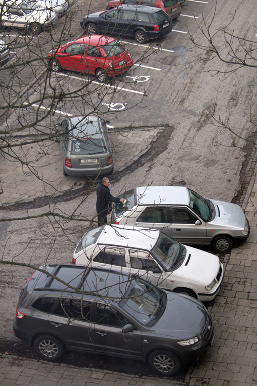 park2.jpg