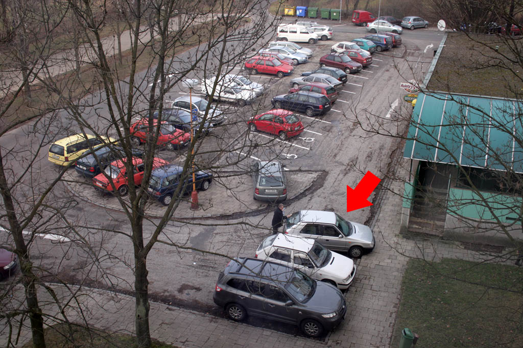 park1.jpg