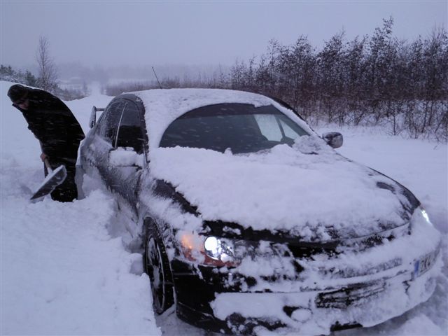 paja pašák.jpg