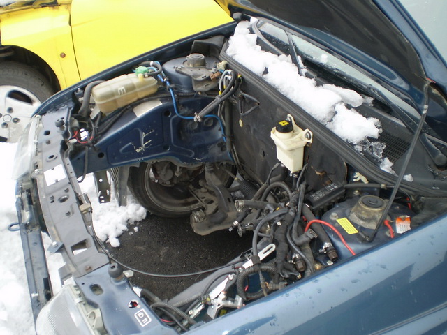 P2060041.jpg