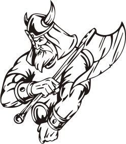 viking.jpg