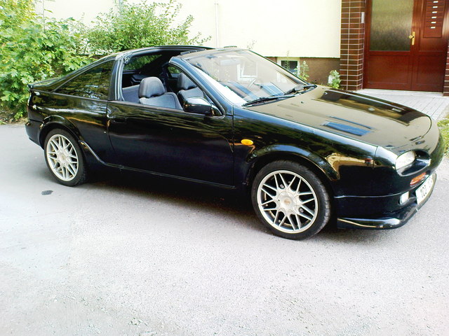 dsc00512c.jpg