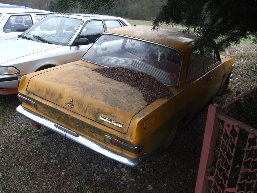 DSCF3713.jpg