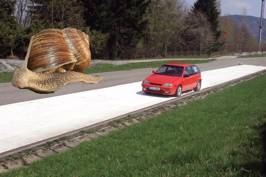 snek.JPG