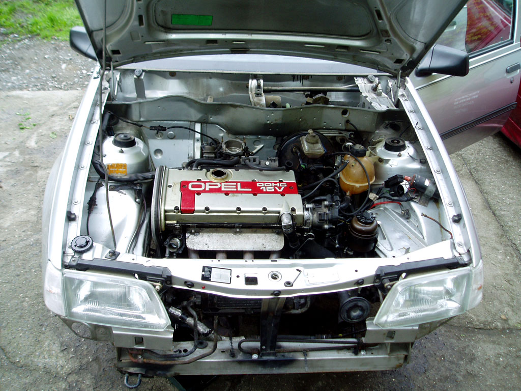 P1010002.JPG