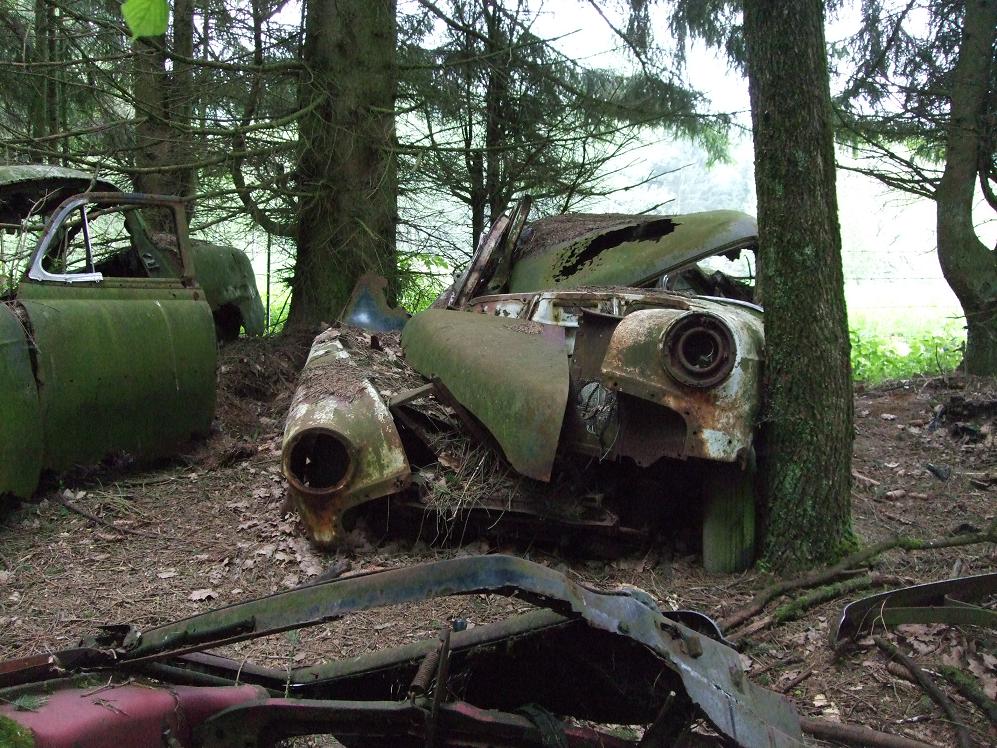 DSCF4587.jpg
