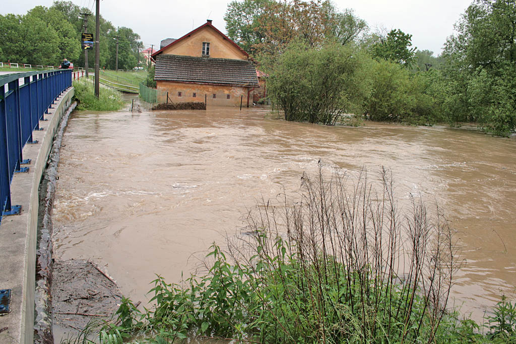 petruvka3.jpg