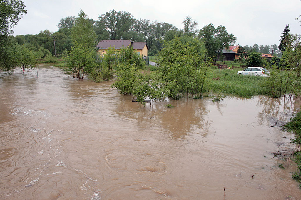 petruvka2.jpg