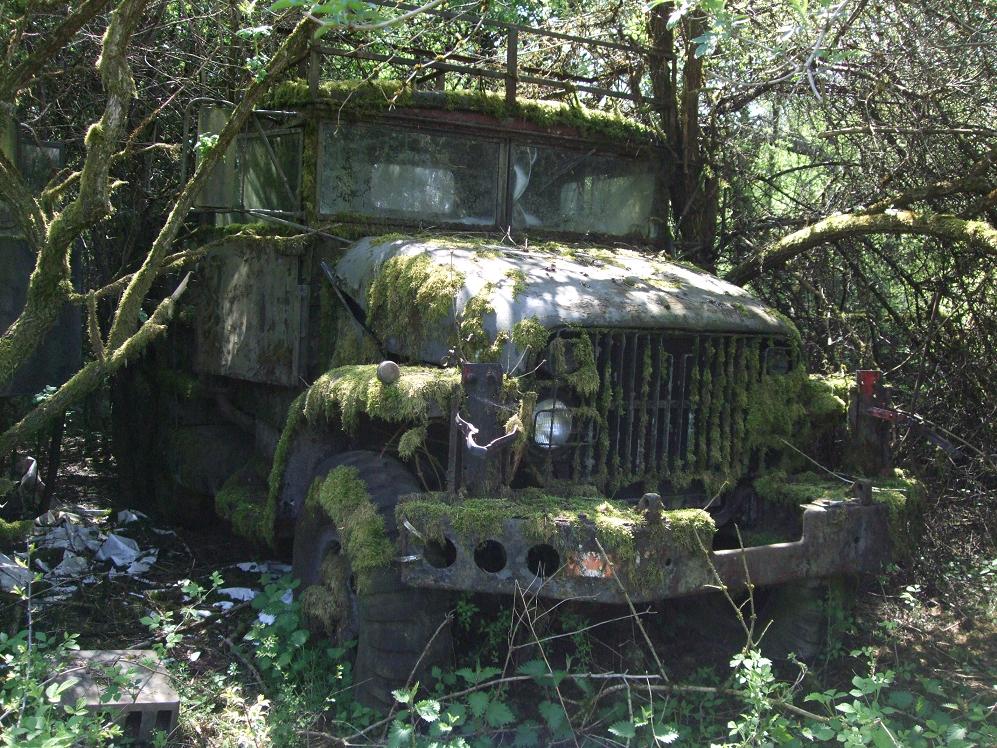 DSCF4824.jpg