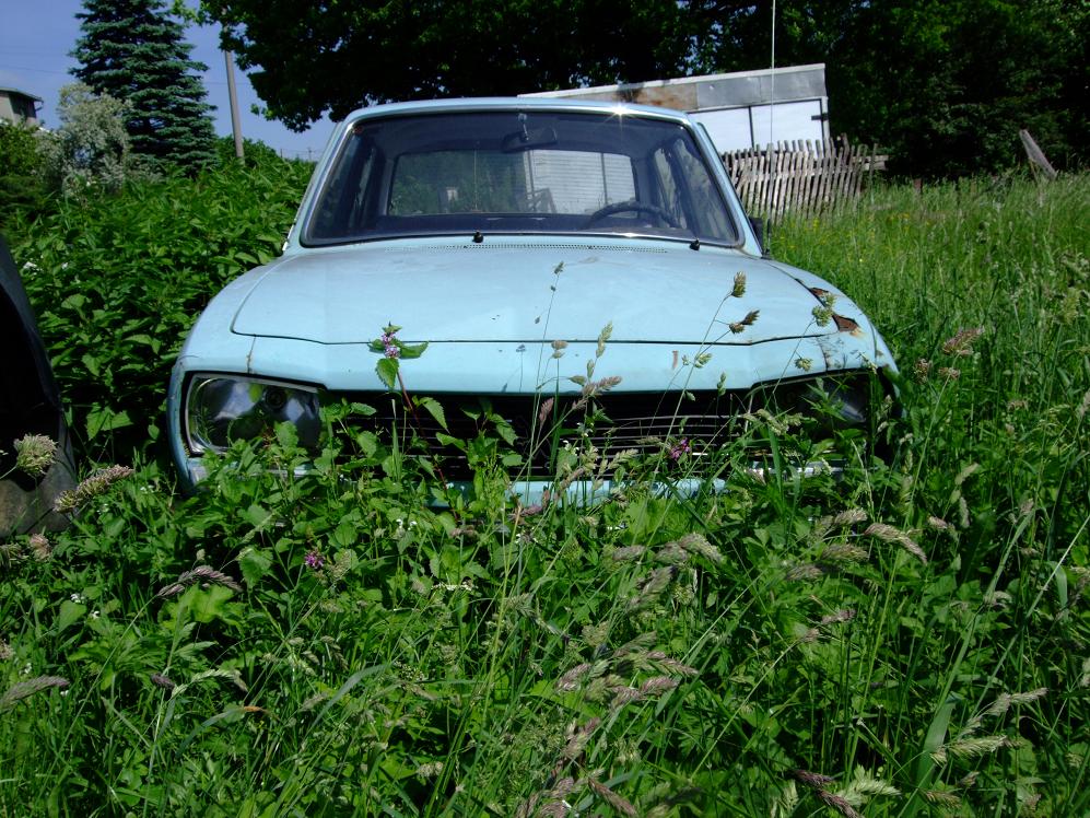 DSCF5075.jpg