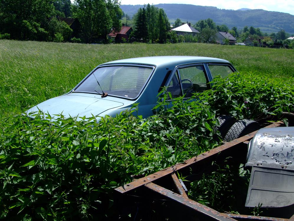 DSCF5078.jpg