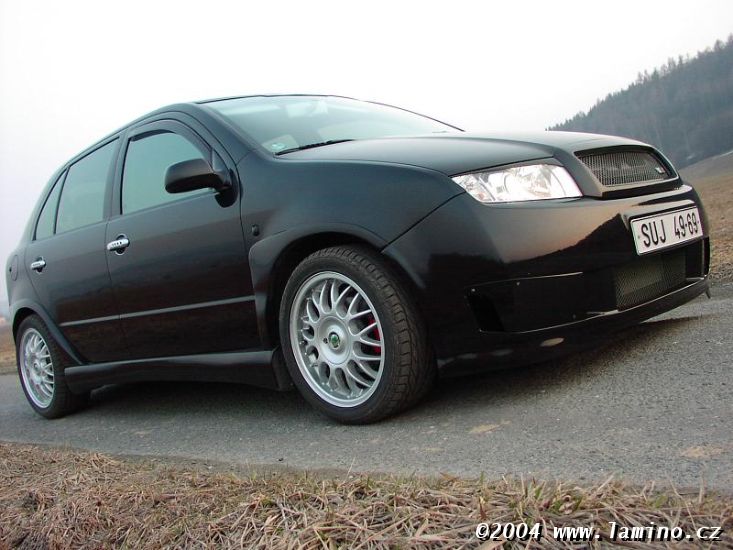 fabia2.jpg