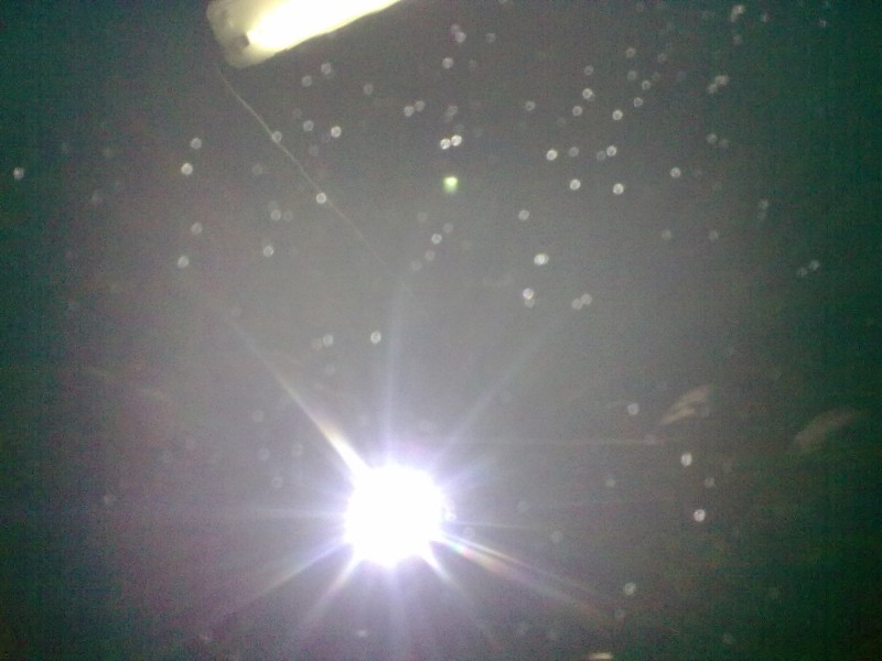 31052010015.jpg