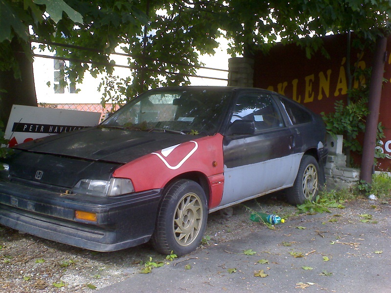 DSC01576.JPG
