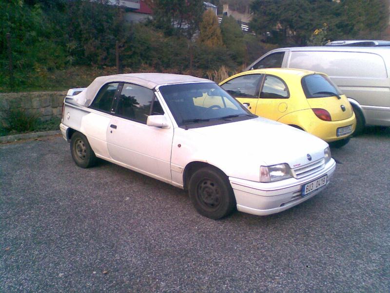 Obraz011.jpg