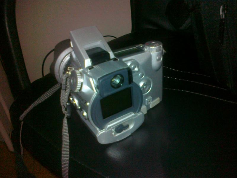 fotka_800..jpg