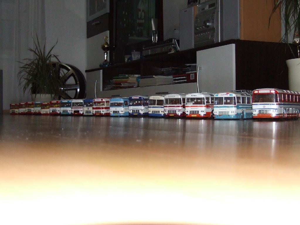 busíky1.jpg