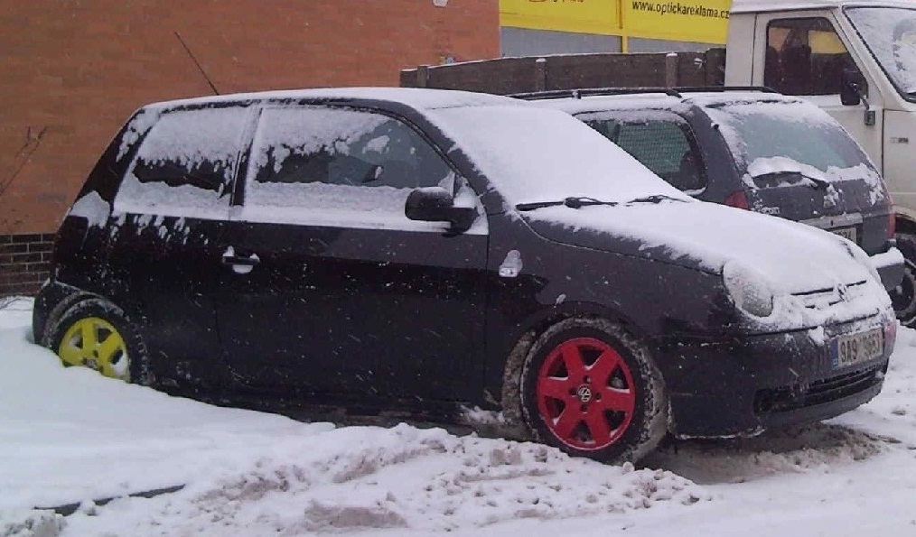 Lupo.jpg