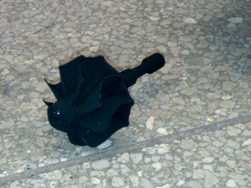 26012011.jpg